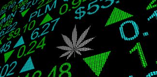 Why Should You Invest In Cannabis