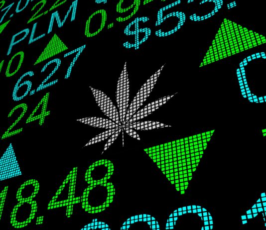 Why Should You Invest In Cannabis