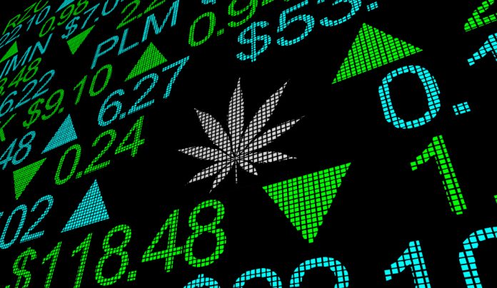 Why Should You Invest In Cannabis