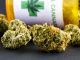 FSD Pharma receives a Full Sale for Medical Purposes license to sell cannabis