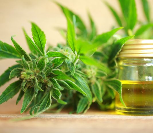 States setting their own CBD rules as federal action lags