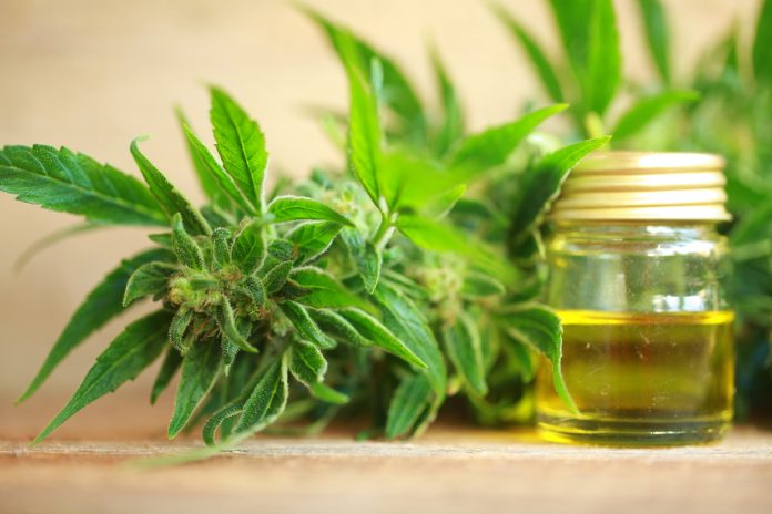 States setting their own CBD rules as federal action lags