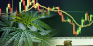 Are cannabis investment a good idea?