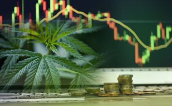 Are cannabis investment a good idea?