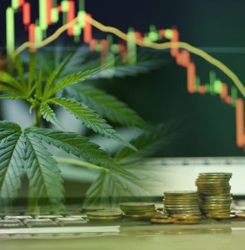 Are cannabis investment a good idea?