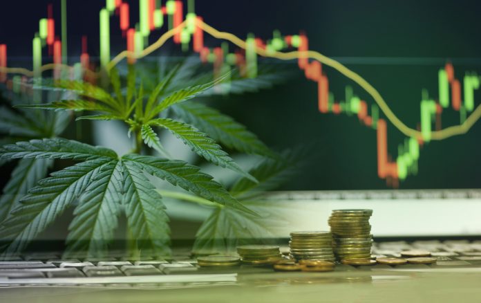 Are cannabis investment a good idea?