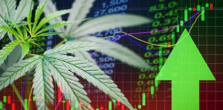 Cannabis Investment In Canada