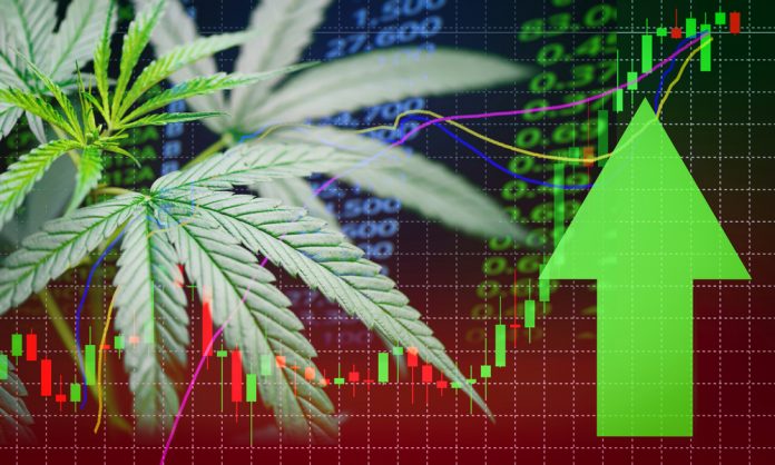 Cannabis Investment In Canada