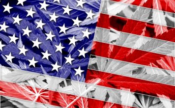 Judge rules New Mexico must open medical cannabis market to nonresidents