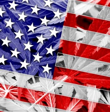 Judge rules New Mexico must open medical cannabis market to nonresidents