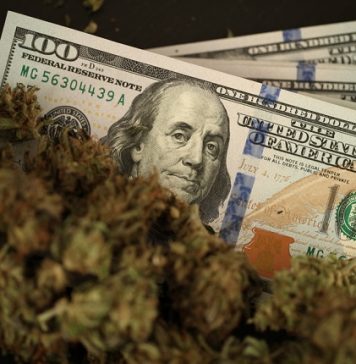 Business Relationships Between American and Canadian Cannabis Interests Has Skyrocketed