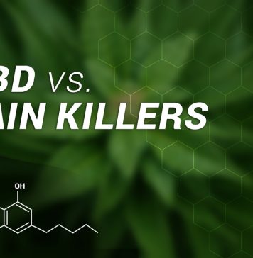 Could a cannabis substance replace opioid pain relievers?