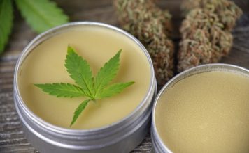 Everything You’ve Ever Wanted To Know About CBD (But Were Too Afraid To Ask)