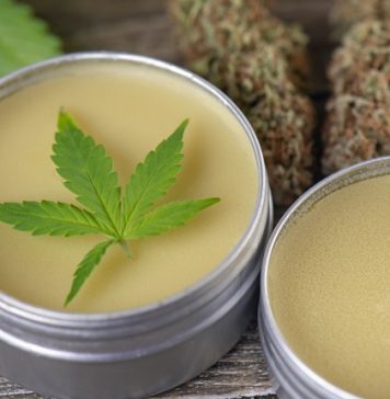 Everything You’ve Ever Wanted To Know About CBD (But Were Too Afraid To Ask)