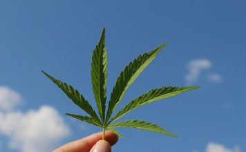 More than 1,800 register for Los Angeles social equity cannabis business eligibility