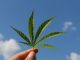 More than 1,800 register for Los Angeles social equity cannabis business eligibility