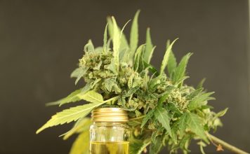 Hemp-based wood startup in Kentucky begins production amid trade dispute