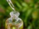 The Many Benefits From Hemp Oil