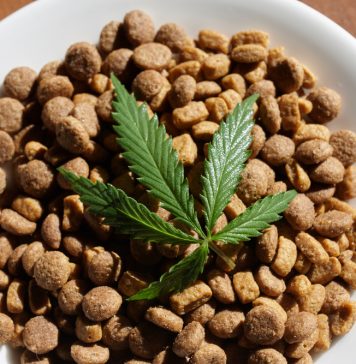 Mary’s Brands bought by Connecticut cannabis firm; CEO steps down