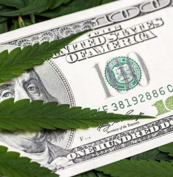 California wheat biotech firm expands hemp investment with $10 million raise