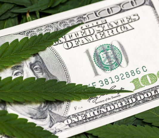 California wheat biotech firm expands hemp investment with $10 million raise