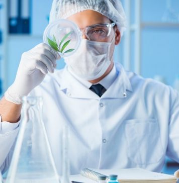 Scientific evidence is beginning to mount that cannabis may prove beneficial in the fight against cancer