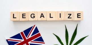 UK could completely legalise cannabis use within a decade following a research trip to Canada