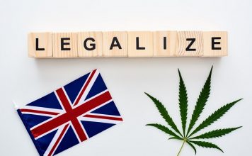 UK could completely legalise cannabis use within a decade following a research trip to Canada