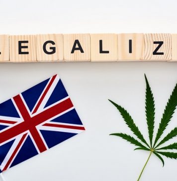 UK could completely legalise cannabis use within a decade following a research trip to Canada