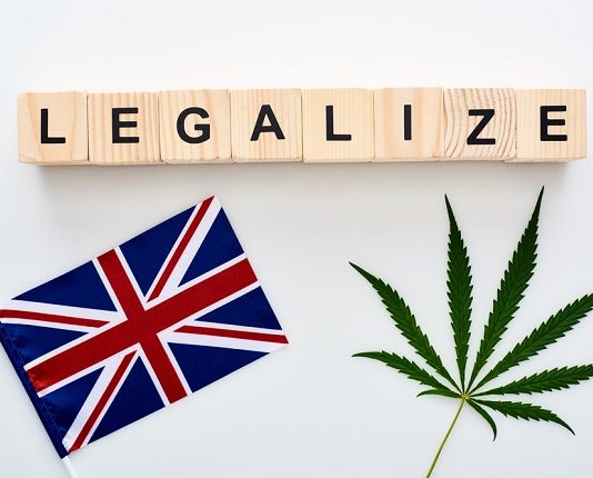 UK could completely legalise cannabis use within a decade following a research trip to Canada