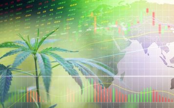 Big data and the cannabis industry