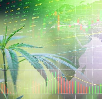 Big data and the cannabis industry