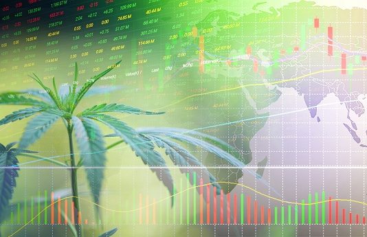 Big data and the cannabis industry