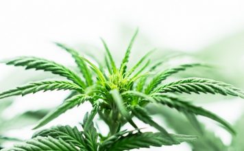 FSD Pharma, Great Value Within The Cannabis Market