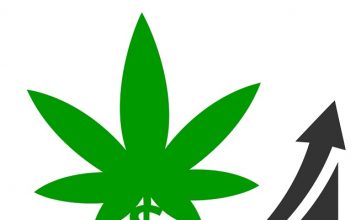 Former Wall Street Bankers to Raise $2 Billion for Launch of Bottom Picking Marijuana Funds