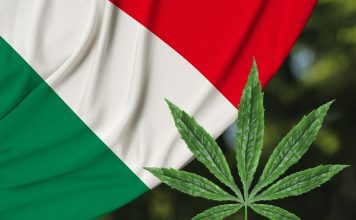 Italy’s New Government Could Legalize Cannabis