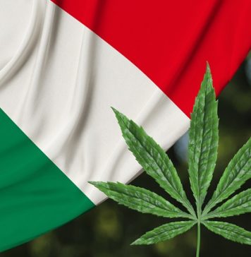 Italy’s New Government Could Legalize Cannabis