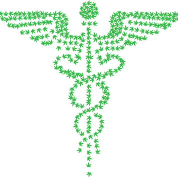 Illinois’ medical cannabis program has experienced record growth